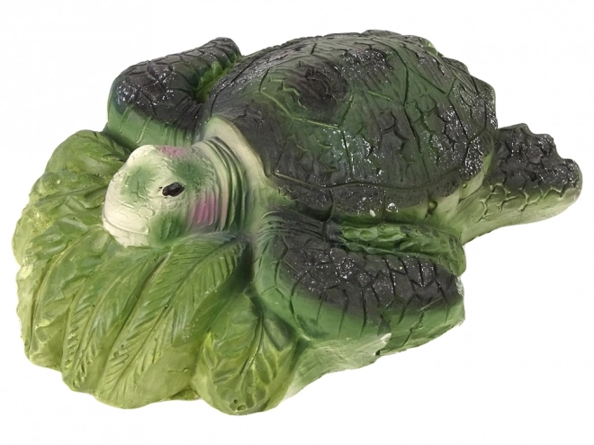 Educatieve set ammonieten schildpad opgravingen
