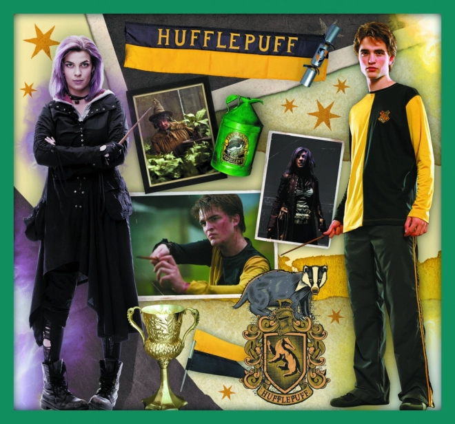 Puzzel Harry Potter - In de wereld van Harry Potter 10-in-1