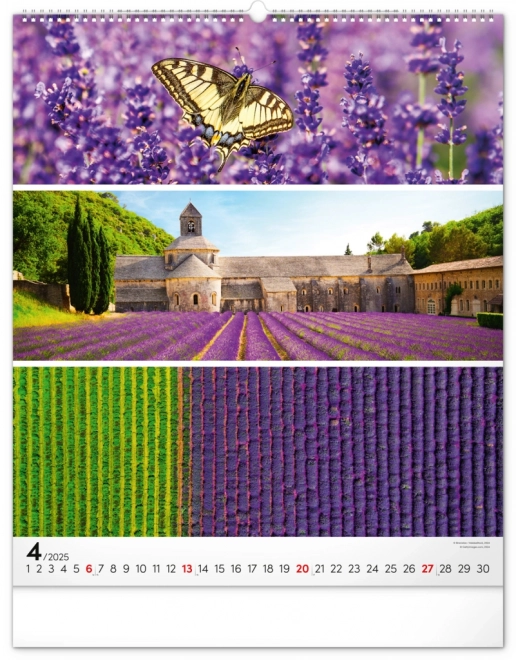 NOTIQUE Muurkalender Palet 2025, 48 x 56 cm