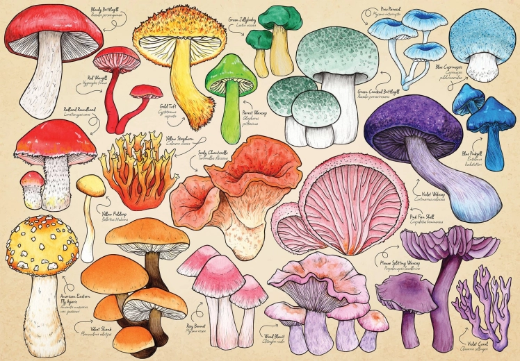 Puzzel Paddenstoelenmanie 1000 stukjes