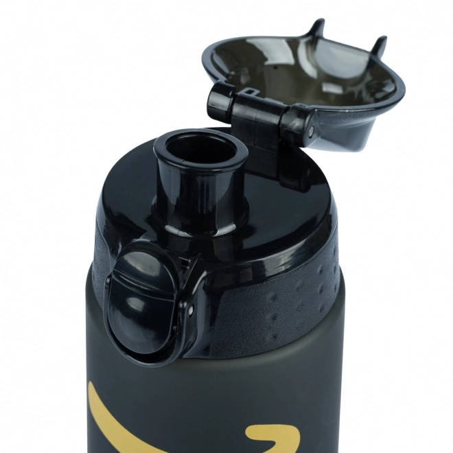 BAAGL Tritan fles voor drinken Gold, 700 ml