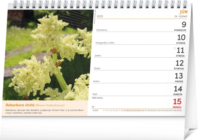 NOTIQUE Bureaubladkalender Natuurlijke Apotheek 2025, 23,1 x 14,5 cm