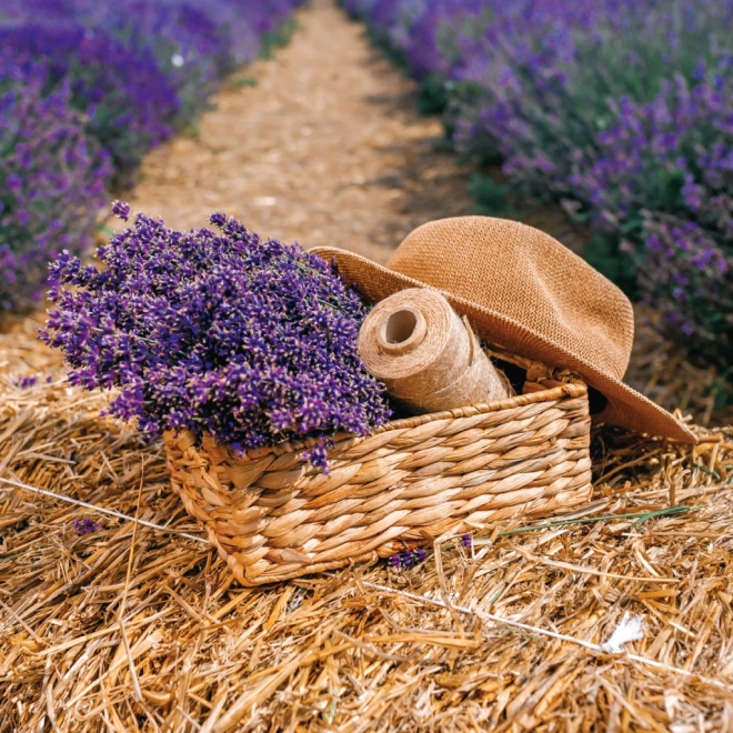 Notitiekalender Provence 2026