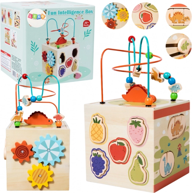 Houten sensorische educatieve Montessori kubus