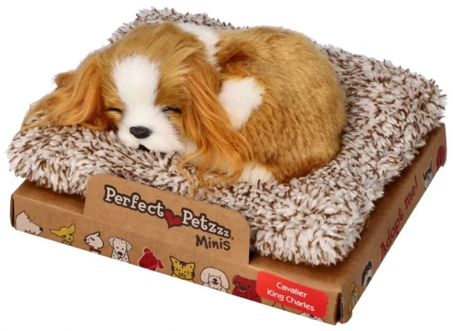 Slapende Puppy Cavalier King Charles Perfect Petzzz