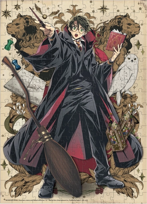 Puzzel DODO Harry Potter: Jonge tovenaar 250 stukjes