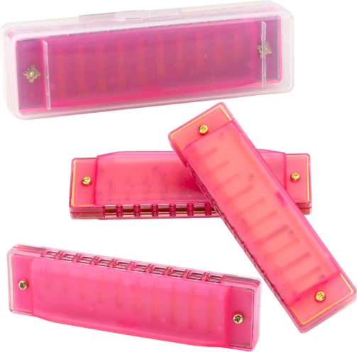 Roze diatonische mondharmonica voor kinderen en beginners met etui