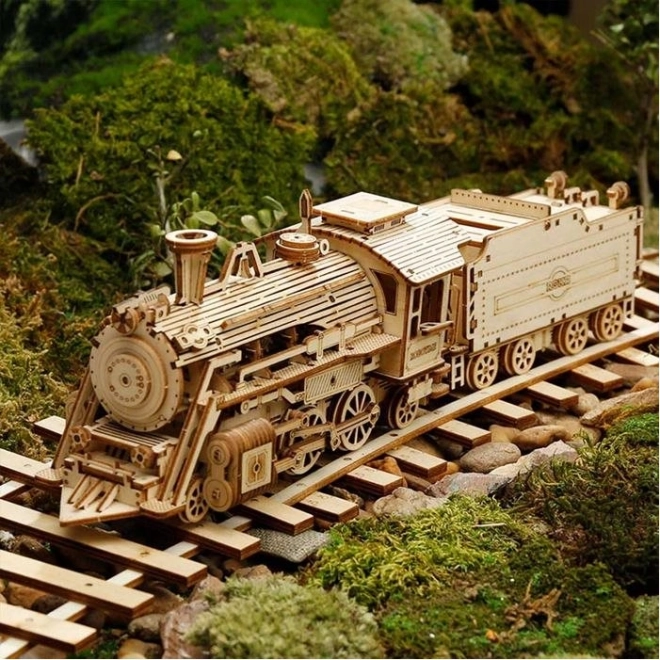 Locomotief - Stoom Express - 3D houten puzzel