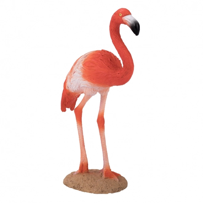 Mojo Amerikaanse Flamingo