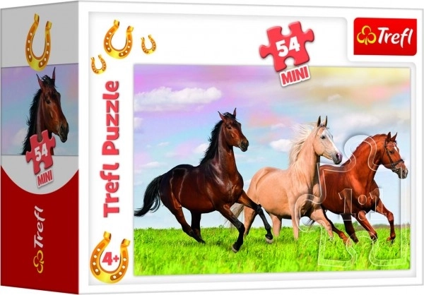 Minipuzzel 54 stuks Paarden 4 soorten in doos 9x6,5x4cm