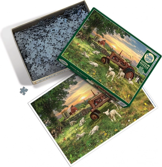 Puzzel Veld bij zonsopgang van Cobble Hill 1000 stukjes