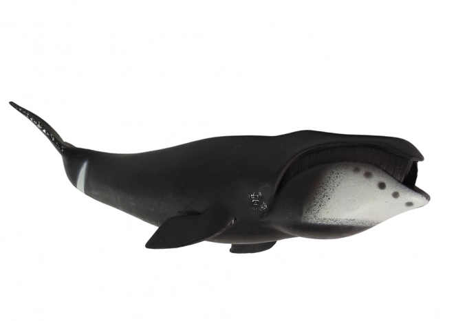 Grote verzamelbare figuur Groenlandse walvis