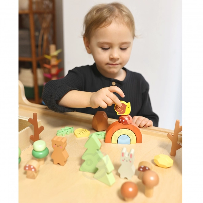 Bosset met houten blokken Tooky Toy