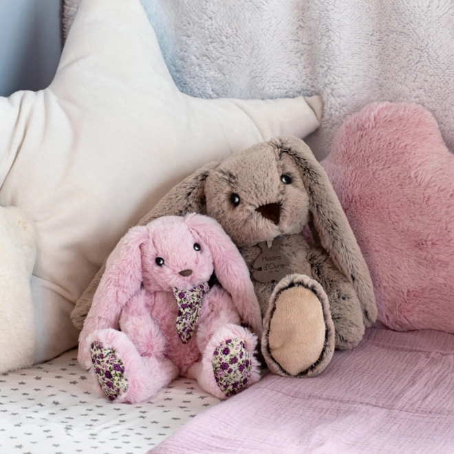 Doudou Histoire d'Ours Pluche Vriend Beige Konijntje 40 cm