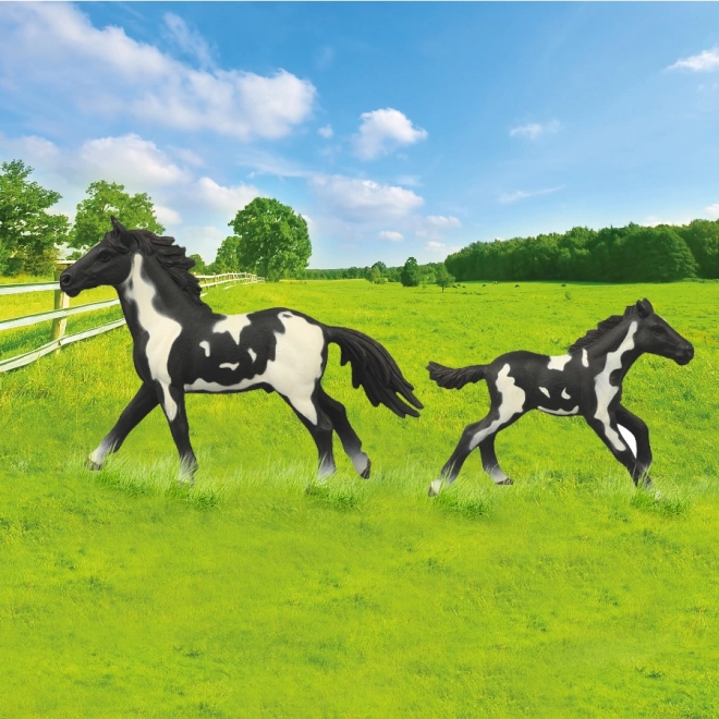 Paardenset met Hek Zwart-Wit