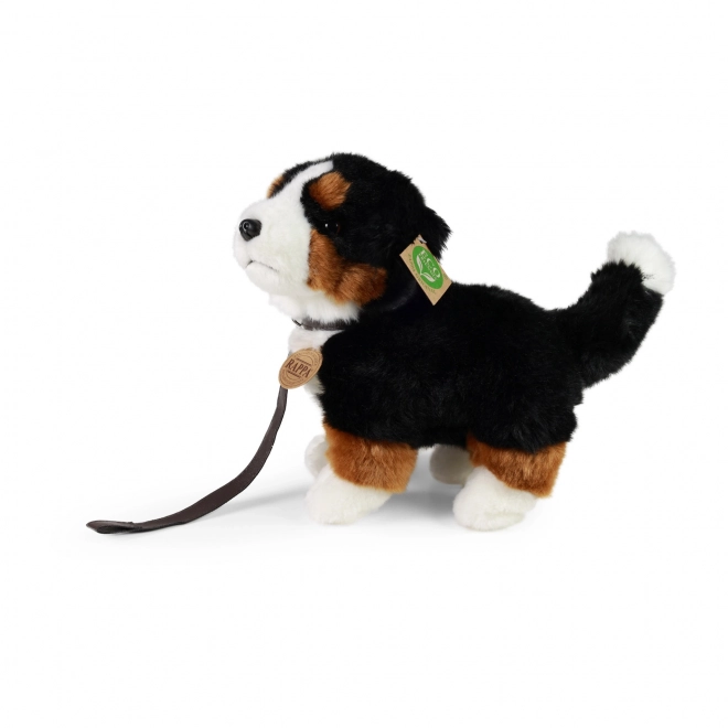 Pluchen Berner Sennenhond Eco-Friendly 22 cm