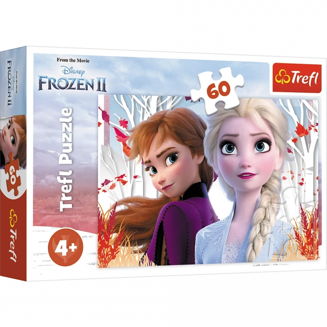 Puzzel 60 stukjes De magische wereld van Anna en Elsa