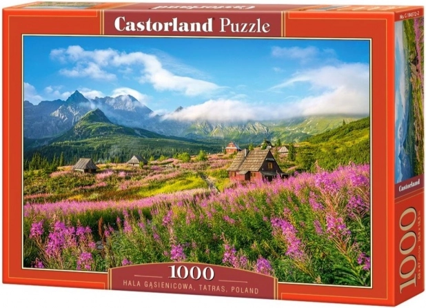 Puzzel 1000 stukjes Hala Gąsienicowa, Tatra’s, Polen