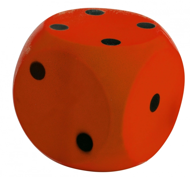 Androni Zachte dobbelsteen - maat 10 cm, rood