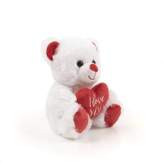 Pluche teddybeer met hart