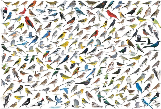 Puzzel Wereld van Vogels 2000 stukjes EUROGRAPHICS