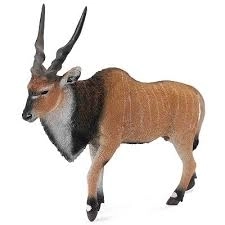 COLLECTA antilope antilope Eland
