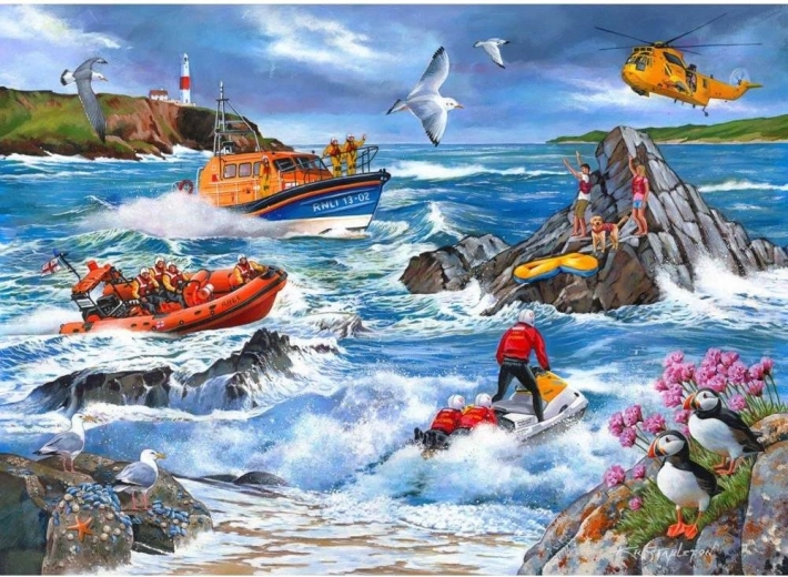 Puzzel Tegen het Getij 1000 stukjes van House of Puzzles