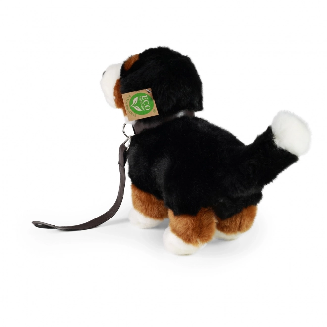Pluchen Berner Sennenhond Eco-Friendly 22 cm
