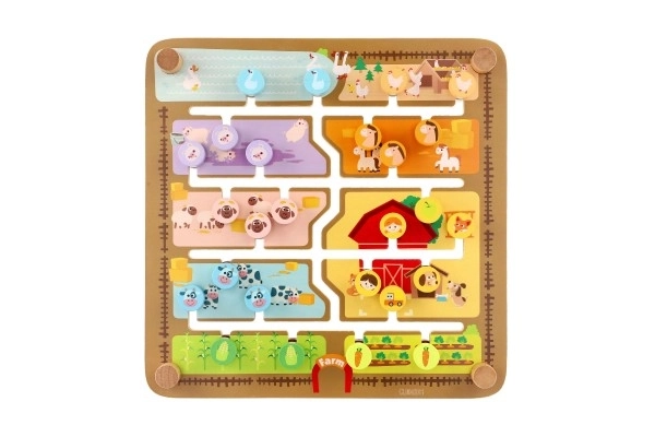 Houten educatief doolhof 2-in-1