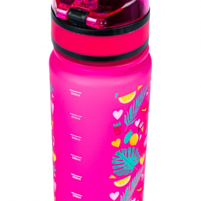 BAAGL Tritan fles voor drinken Flamingo's, 500 ml