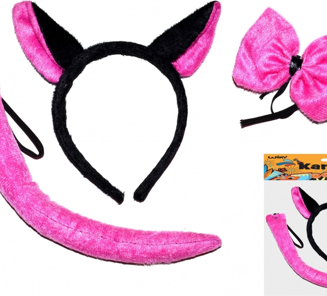 Carnavalsset - kat