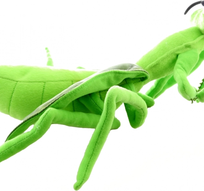 Pluche speelgoed Bidsprinkhaan 35 cm ecologisch