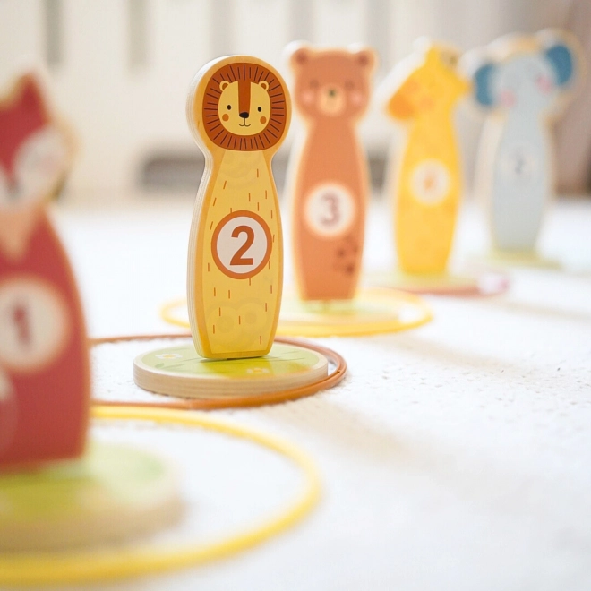 Houten precisiespel met ringen Tooky Toy