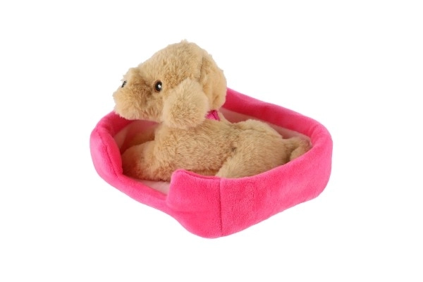 Diertje hondje in mandje pluche 4 kleuren 22x24cm 24m+