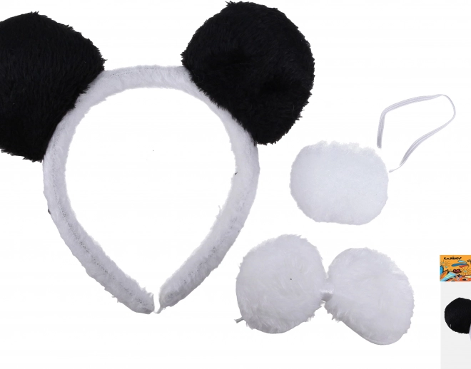 Carnavalsset panda voor kinderen