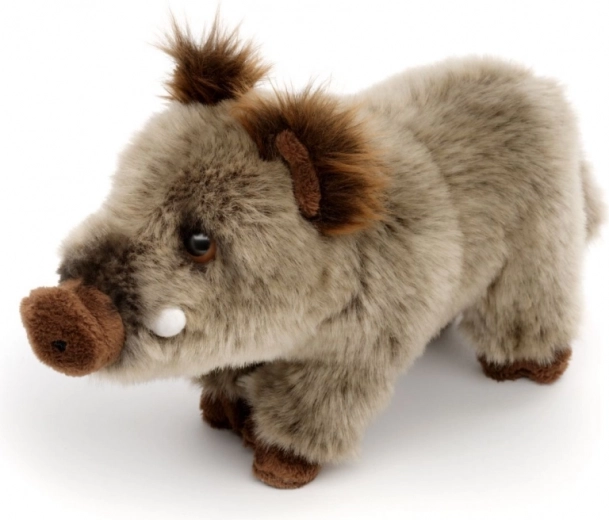 Realistische details van het wilde zwijn