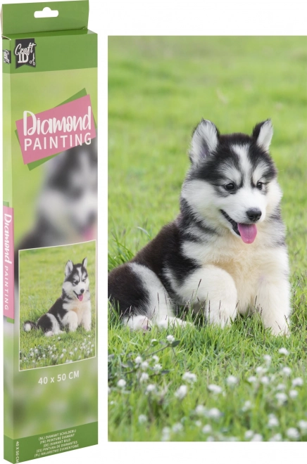 GRAFIX Diamanten schilderij Husky 40x50cm