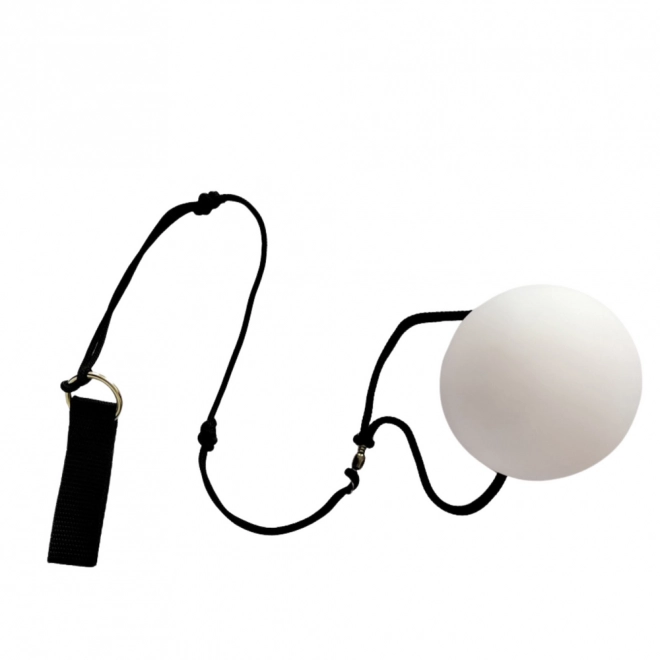 Lichtgevende LED ballen voor jongleren