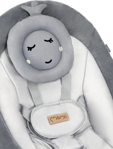 Comfortabele zitting met kussentje en veilige gordels