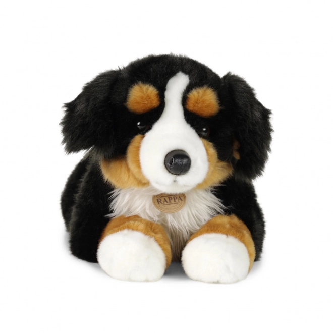 Grote pluchen Berner Sennenhond liggend 61 cm