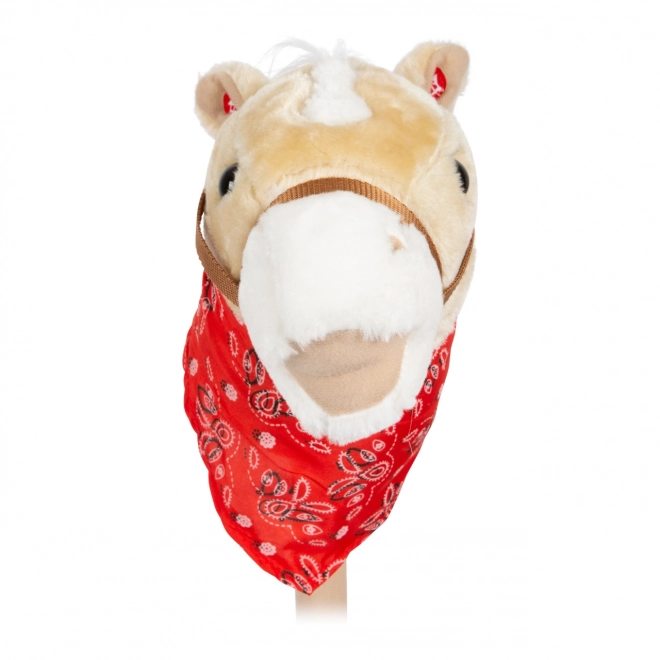 Kleine Voet Paard op Stok Rocky