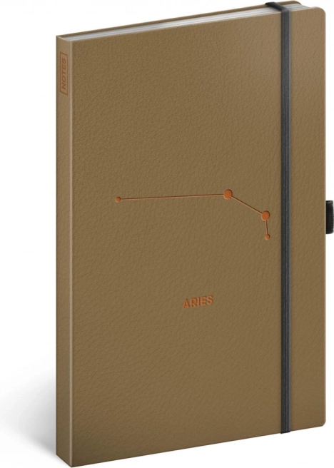 Notique gelinieerd notitieboek Ram 13 × 21 cm