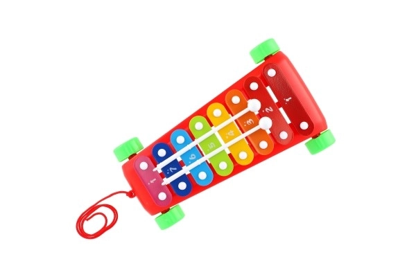 Xylofoon kunststof/metaal 24cm met stokken 2 kleuren in zak 19x31x6cm