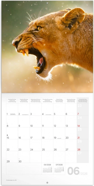 Notitiekalender Wilde Dieren 2026