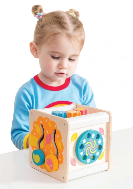 Le Toy Van Petilou Motorische Kubus