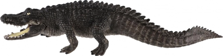 Ideaal voor educatie en verzameling