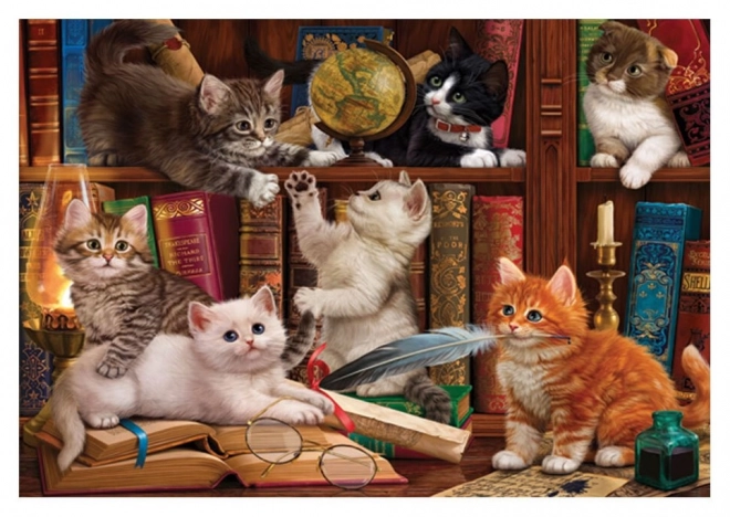 Puzzel Katjes in de bibliotheek 500 stukjes