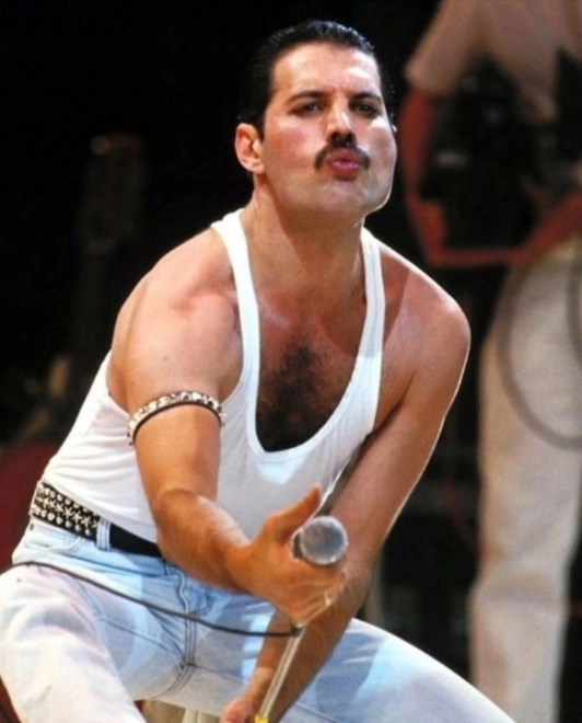 Diamond painting FREDDIE MERCURY 30 × 40 cm
