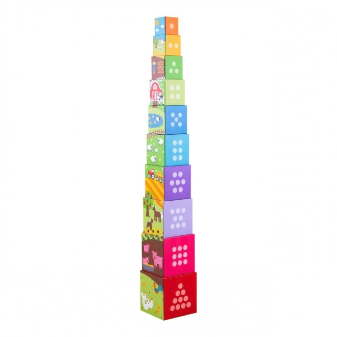 Bigjigs Toys Didactische Blokken Boerderij