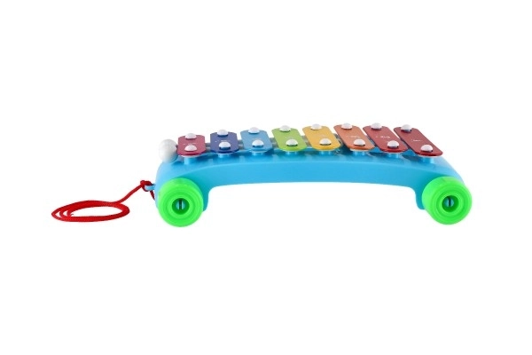 Xylofoon kunststof/metaal 24cm met stokken 2 kleuren in zak 19x31x6cm